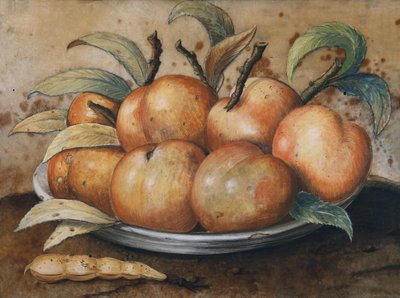 Still Life with Peaches and Carob by Giovanna Garzoni